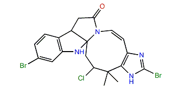 Securamine B